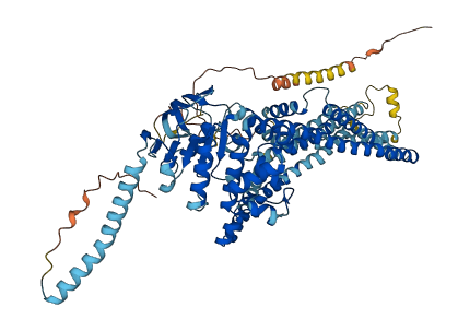 ABCD1 3D structure