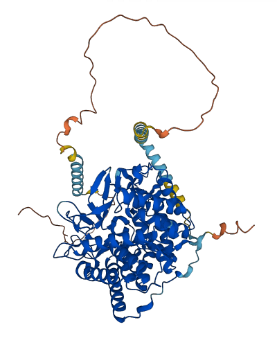 MAN1A1 3D structure