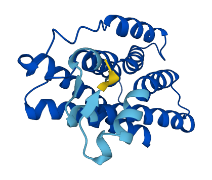 KDELR2 3D structure