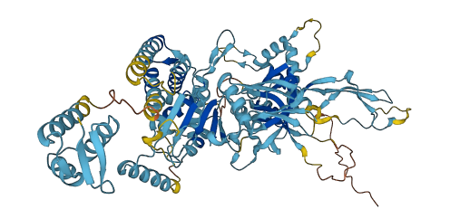 MCM5 3D structure