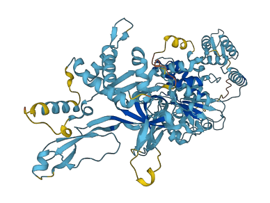 MCM7 3D structure