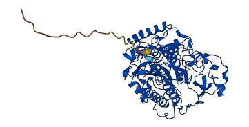 GALNS 3D structure