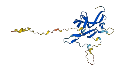 NTF4 3D structure