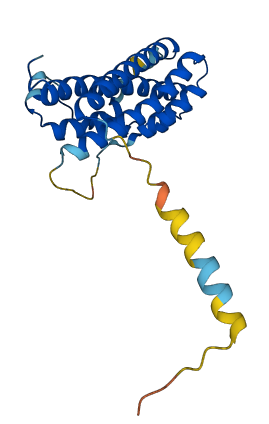 Prl3d4 3D structure