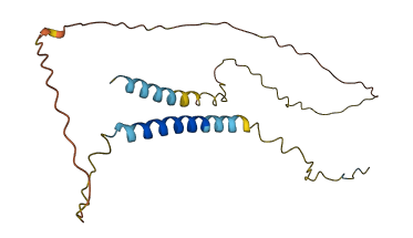 SDC2 3D structure