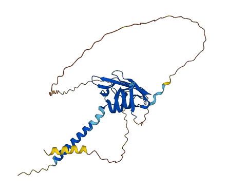 CD68 3D structure