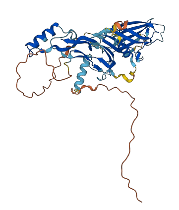 BMP8B 3D structure