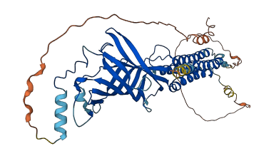 GABRA3 3D structure