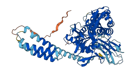 HSPA1L 3D structure