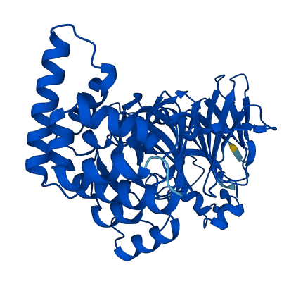 MPI 3D structure