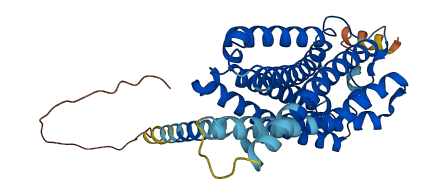 CNR2 3D structure
