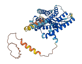 TRHR 3D structure