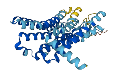 OR1D2 3D structure