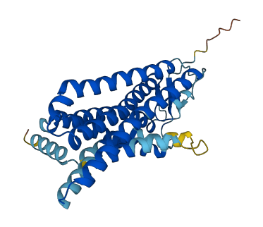Olfr1537 3D structure
