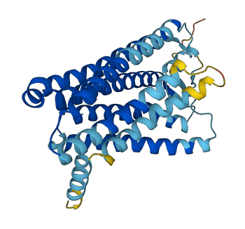 Olfr13 3D structure