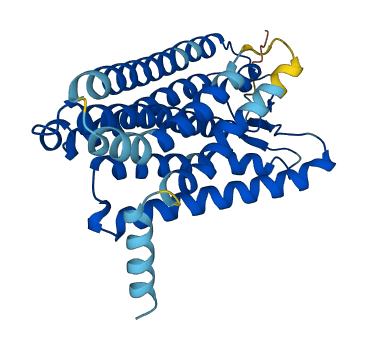 Olfr143 3D structure