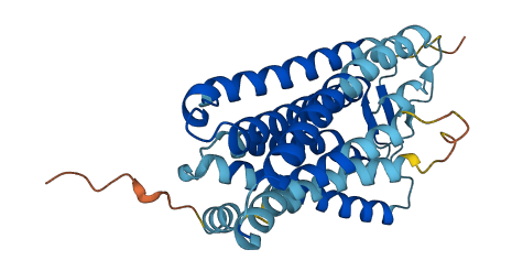 Olfr6 3D structure