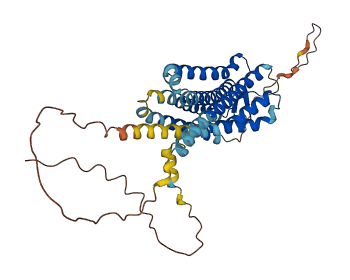 PTGER1 3D structure