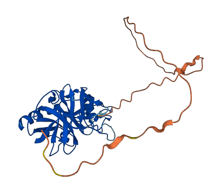 PRSS3 3D structure
