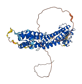 GPC1 3D structure
