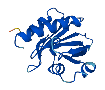 PFN2 3D structure