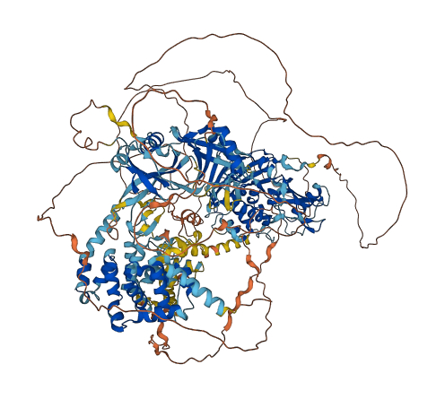USP6 3D structure