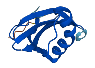 Stfa3 3D structure