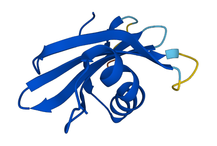 Stfa2 3D structure