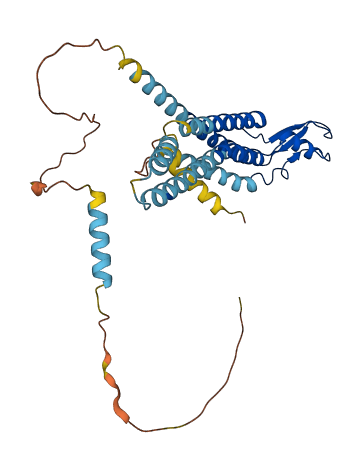 GJA4 3D structure