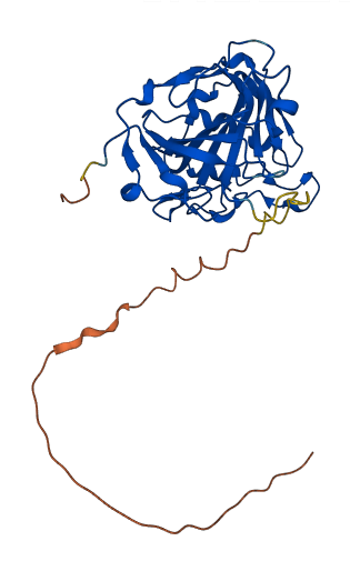 CA5A 3D structure