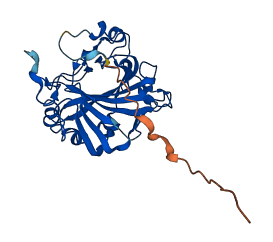 CA8 3D structure