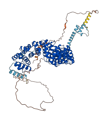 CTNNB1 3D structure