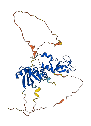 PCGF2 3D structure