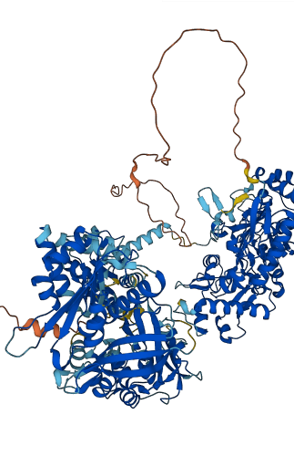 NOS2 3D structure