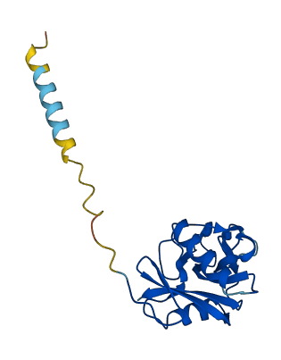 Reg3b 3D structure