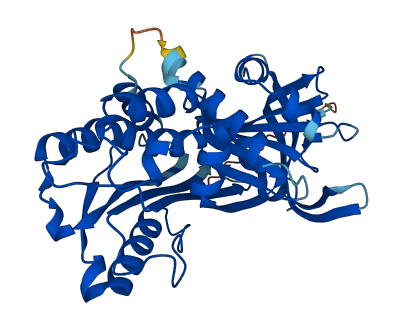 SERPINB6 3D structure