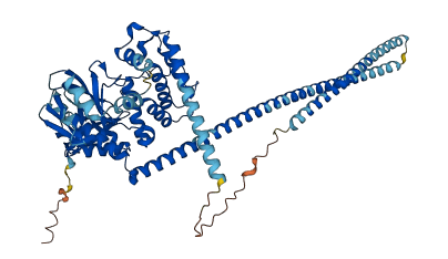 NF2 3D structure