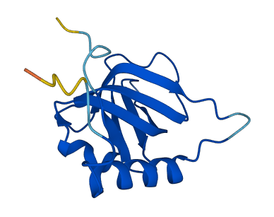 RPA3 3D structure