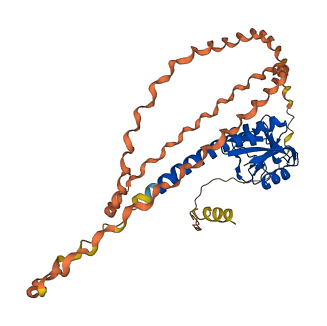 SFTPD 3D structure