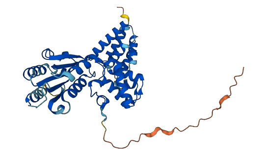 RFC2 3D structure