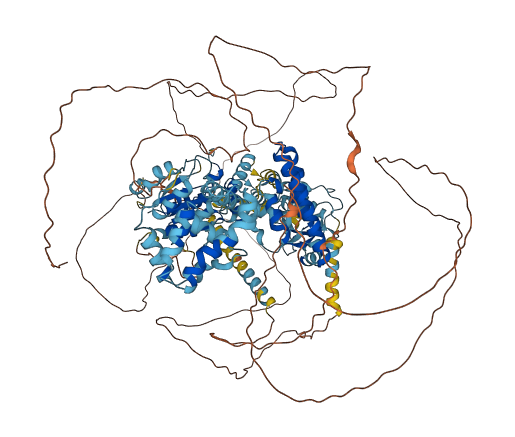 RFC1 3D structure