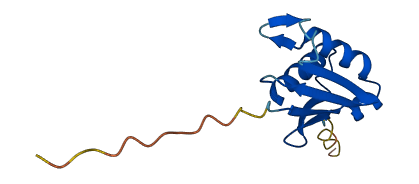 RPL22 3D structure