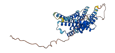 SSTR5 3D structure