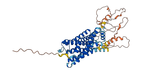 ADRA1A 3D structure