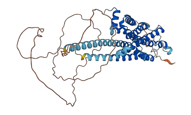 HRH1 3D structure
