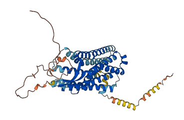 OPRM1 3D structure