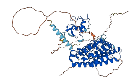 RORA 3D structure