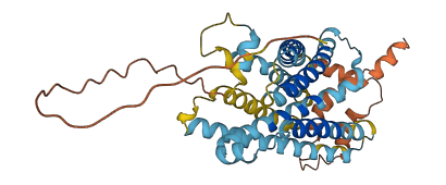 MAS1L 3D structure