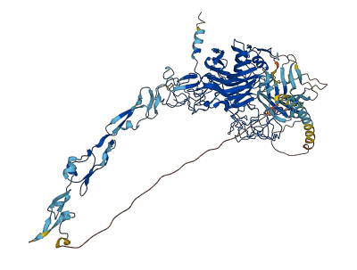THBS4 3D structure