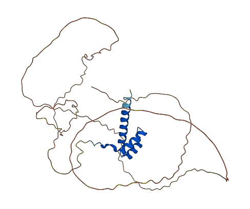 HOXD13 3D structure